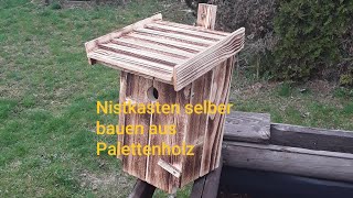 Nistkasten selber bauen aus Palettenholz [upl. by Rocher]