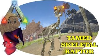 TAMED SKELETAL RAPTOR  ARK FEAR EVOLVED [upl. by Larue]