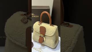 Delvaux Brillant bag [upl. by Endys]