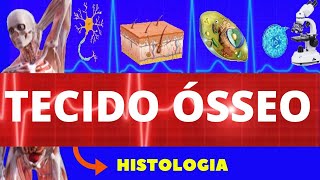 TECIDO ÓSSEO ENSINO SUPERIOR  HISTOLOGIA  CÉLULAS E ESTRUTURA DO TECIDO ÓSSEO [upl. by Bensky]