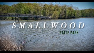 Smallwood State Park [upl. by Garrick]