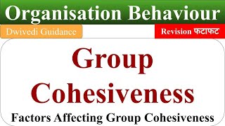 group cohesiveness group cohesiveness in organisational behaviour organisational behaviour OB [upl. by Lotsirk]