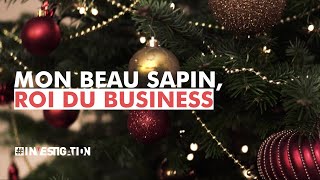 Sapins de Noël belges  pas vraiment un conte de Noël  Investigation [upl. by Lantz]