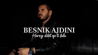 Besnik Ajdini  Harroj ditët që ti fala COVER [upl. by Barabas]