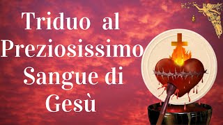 🔴 Recita questo Triduo al Preziosissimo Sangue di Gesù il 282930 Giugno 🙏🙏🙏💖 [upl. by Henrietta448]