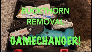 Buckthorn Removal Gamechanger [upl. by Baram]