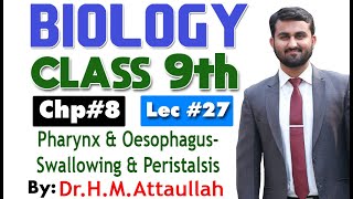 Pharynx and OesophagusSwallowing and peristalsis  Chapter 8  9th class Biology  Lec 27 [upl. by Oivatco]