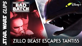 Zillo Beast vs Galactic Empire  Star Wars Clips [upl. by Silliw]