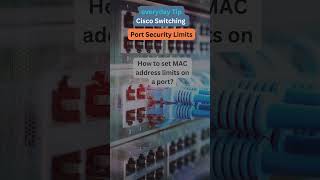 54 Shorts Set MAC Limits on Ports [upl. by Iilek]