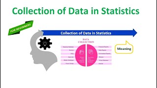 Collection of Data in Statistics [upl. by Afatsuom325]