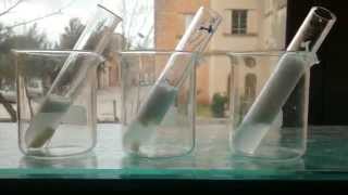 Rate of enzyme catalysed reaction vs surface area [upl. by Laband]