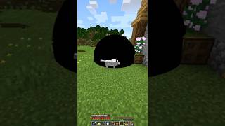 Black hole in Minecraft [upl. by Salem]