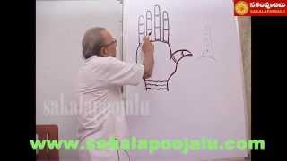 PALMISTRY PART  5 IN HINDI [upl. by Kifar196]