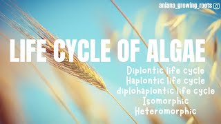 Diplohaplontic  Diplontic  Haplontic  Isomorphic Heteromorphic  Life Cycles Of Algae [upl. by Hazeefah]