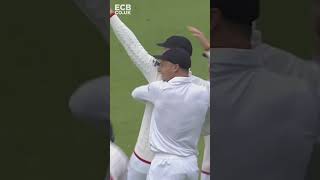 🤩 That Catch  😮 That Reaction theashes benstokes stuartbroad [upl. by Airetahs792]