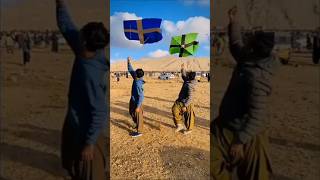 How quatta kites are beautifullkite kiteflying kitefestival foryou patang shorts [upl. by Coshow]