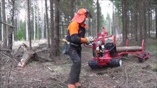 Järnhästen Skogens mångsysslare Jagamedhasse [upl. by Jenni]