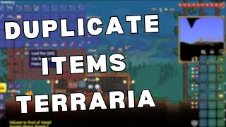 How to Duplicate Items in Terraria [upl. by Luis]