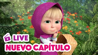 🔴 LIVE 🐻👧 Masha y el Oso 💥 NUEVO CAPÍTULO 🍓🐸 Bayas Traviesas 🎬 Masha and the Bear [upl. by Amabelle]