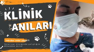 Laborant ve Veteriner Sağlık  Veteriner Kliniğinde Neler Yaptım [upl. by Nollek]