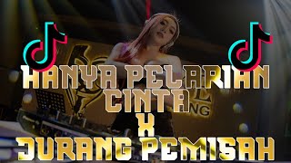 DJ HANYA PELARIAN CINTA X JURANG PEMISAH  DJ REMIX TERBARU 2K24FULLBASS [upl. by Sido]