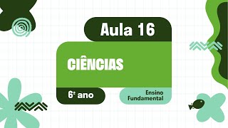 Ciências  Aula 16  Diversidade de ecossistemas [upl. by Eizzo]