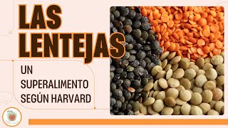 LAS LENTEJAS Un Superalimento según Harvard [upl. by Jamison]