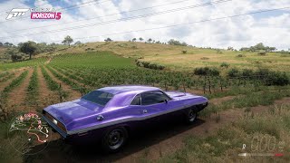 Dodge Challenger RT 1970  Forza Horizon 5  Steering Wheel Gameplay [upl. by Burrill]