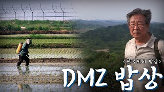 DMZ 로드를 따라 황무지를 일궈 차려낸 밥상 DMZ 밥상 Korean Food｜최불암의 한국인의밥상🍚 KBS 방송 [upl. by Auhsot]