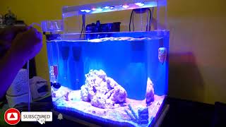 PART3 Menggunakan Protein Skimmer DYMAX IQ  Membuat Nano reef tank tanpa sump [upl. by Oimetra]