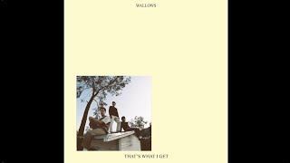 Wallows – That’s What I Get Official Lyric Video [upl. by Eahs888]