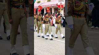 BSF ⚔️🇮🇳 Retreat 🫡Ceremony shortsvideo army ncc bsfparade police [upl. by Yssirc448]