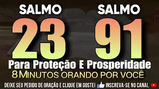 SALMO 91 E SALMO 23 A BENÇÃO DA PROTEÇÃO E DA PROSPERIDADE [upl. by Nnylatsyrc932]