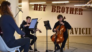 Hey Brother  Avicii  String Quartet Cover  Wedding Events Music [upl. by Bish]