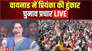 LIVE Priyanka Gandhi Public Meeting in Wayanad  Wayanad By Election 2024  Congress  NBT [upl. by Terrye]