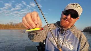 Jigging Raps for Fall Mississippi River Walleye [upl. by Aran]