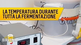 La temperatura durante tutta la fermentazione 🍺 [upl. by Cadell]