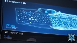 Logitech G19s Gaming Keyboard Unboxing amp Overview [upl. by Ytirev]