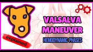 Physiology Hemodynamics of a Valsalva maneuver [upl. by Kennett978]