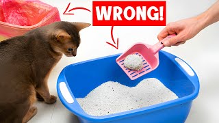 Never make THESE MISTAKES with YOUR CATS LITTER BOX 😿🔥 [upl. by Naujak]