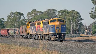 A VINTAGE 1980s Victorian Railway Scene in 2023 with The SSR Broad Gauge grain [upl. by Adnilam]