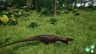 The Isle Evrima Update 65 When Ceratosaurus packs clash [upl. by Buddie]