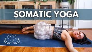 Somatic Yoga Practice 20 Minutes  Slow flow somatic yoga to deepen your connection with your body [upl. by Robma103]