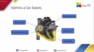 Interpretación electrocardiográfica de las arritmias  Dr Eduardo Cruz [upl. by Yatnwahs]