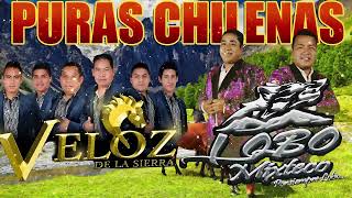 Veloz de la Sierra  Solo Chilenas Mixtecas [upl. by Moises]