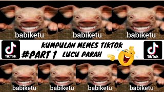 KUMPULAN VIDEO LUCU BABIKETU VIRAL 2023  MEME TIKTOK [upl. by Adriena452]