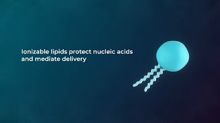 Ionizable lipids to optimize RNALNP delivery  Cytiva [upl. by Husha562]