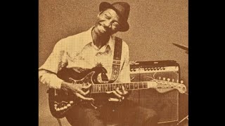 Hound Dog Taylor 👉🏽 Chicago 1960  1967 [upl. by Aspia]