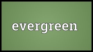 Evergreen Meaning [upl. by Yzzik]