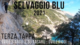 Trekking SELVAGGIO BLU in autonomia  Terza Tappa Ovili SArcu e Su Tasaru  Ovile Piddi 2021 [upl. by Allesiram]